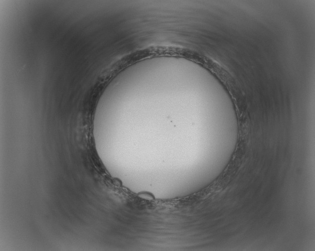 X0000082160870200702092215