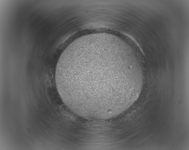 X0000082160871200702092215