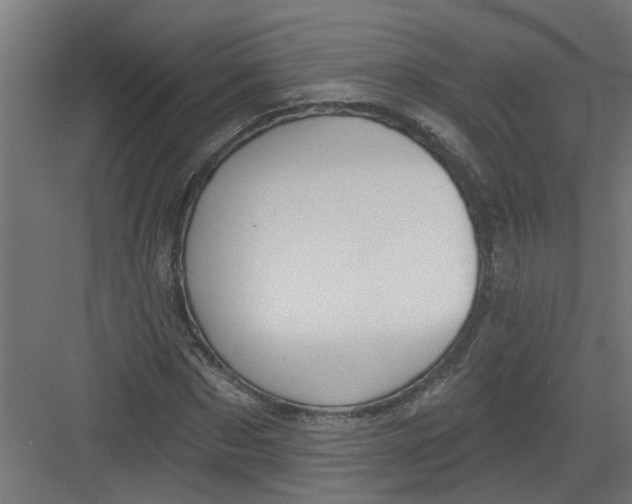 X0000082160873200702092215