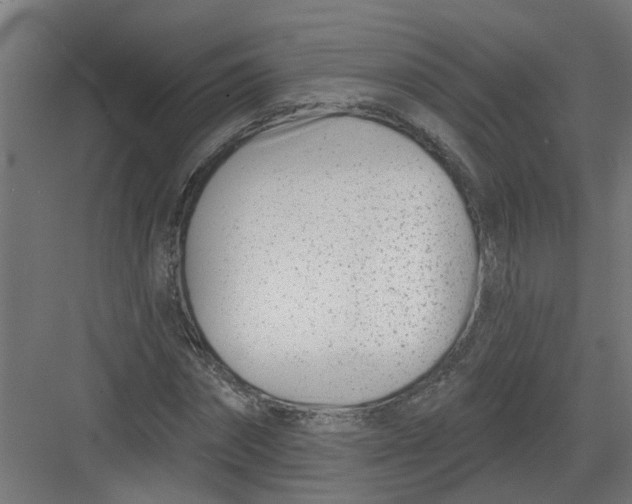 X0000082160874200702092215