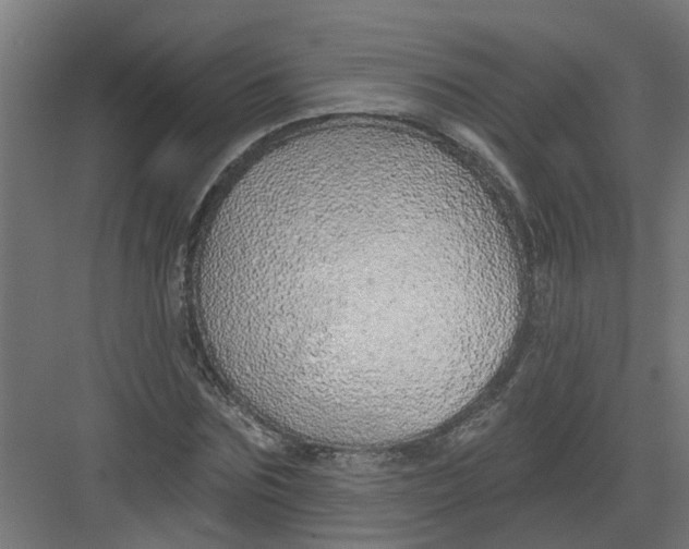 X0000082160875200702092215