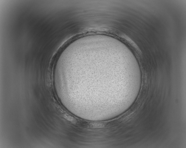 X0000082160878200702092215