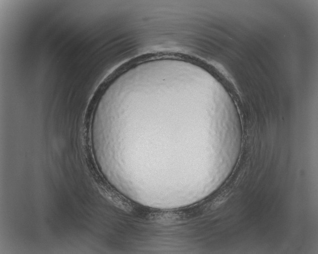 X0000082160879200702092215