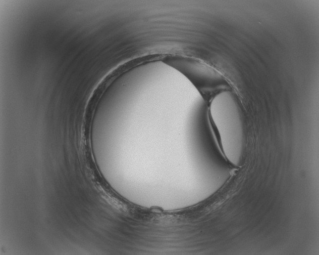 X0000082160880200702092215