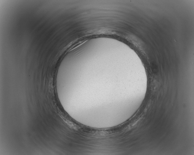 X0000082160881200702092215