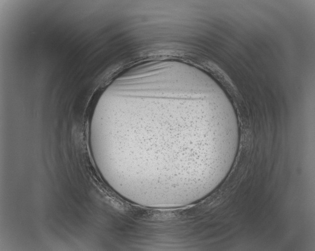 X0000082160882200702092215