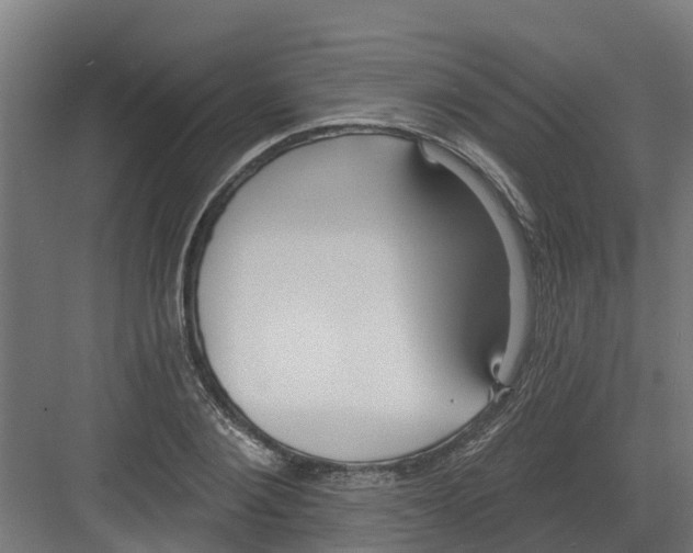 X0000082160884200702092215