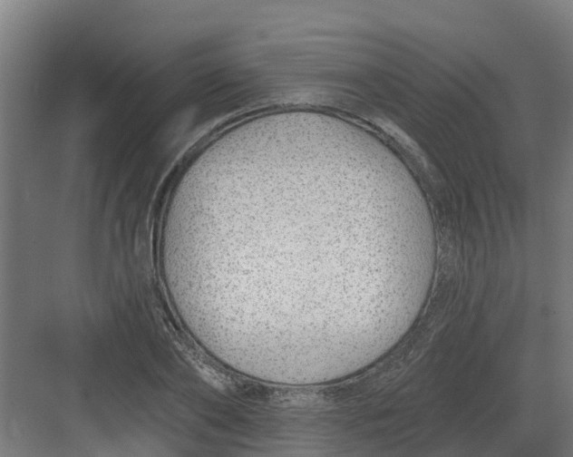 X0000082160886200702092215