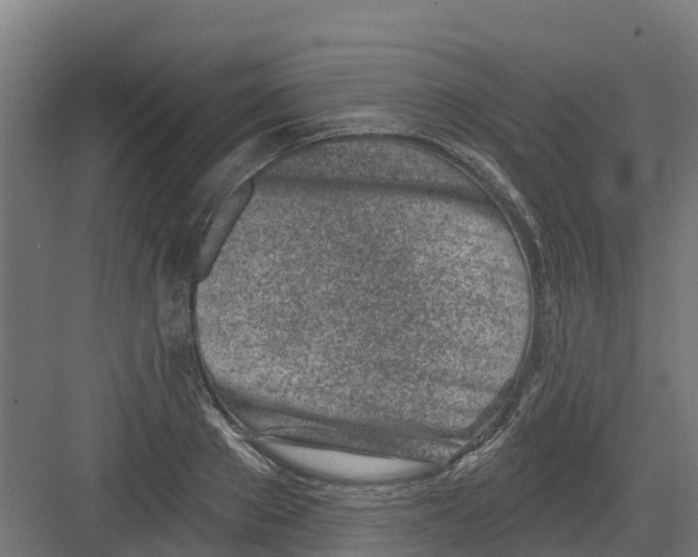 X0000082160889200702092215