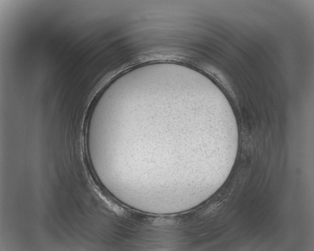 X0000082160890200702092215