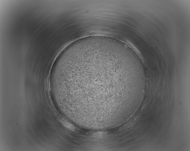 X0000082160891200702092215