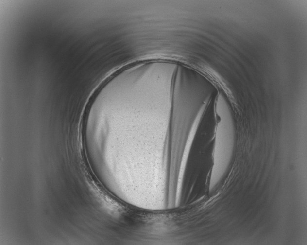 X0000082160892200702092215