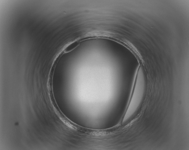 X0000082160893200702092215