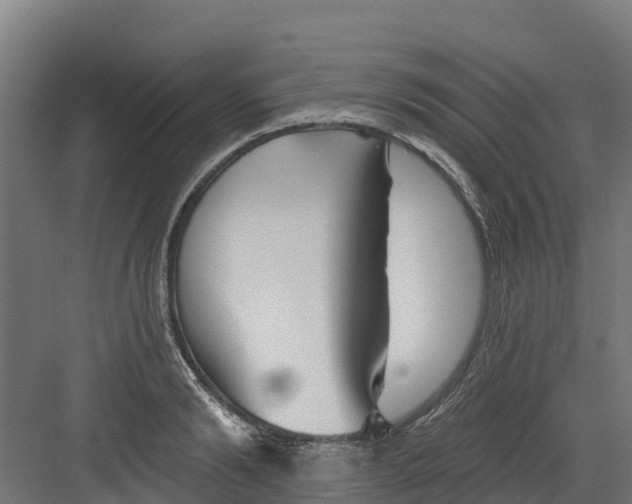 X0000082160894200702092215