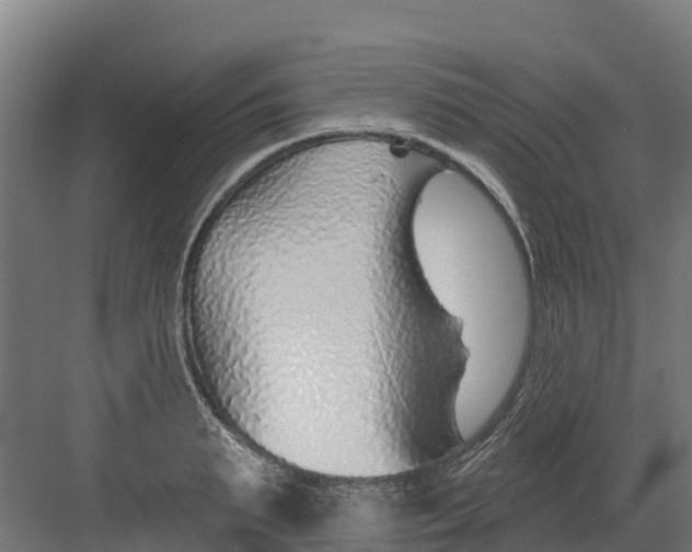 X0000082160895200702092215