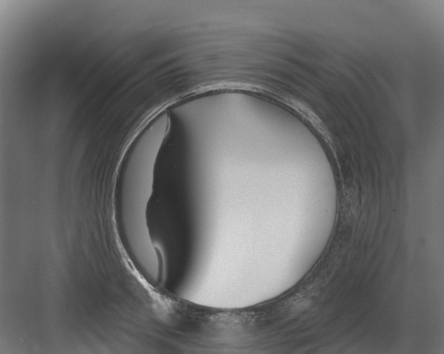 X0000082160898200702092214