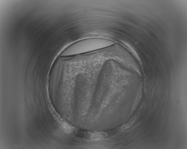 X0000082160899200702092214