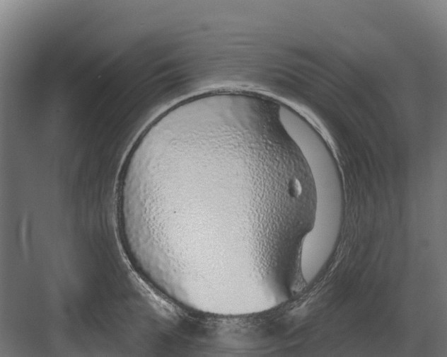 X0000082160903200702092214