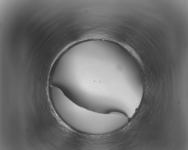 X0000082160904200702092214