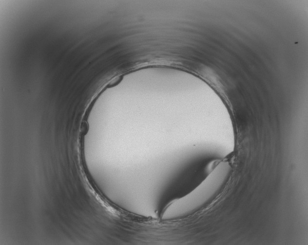 X0000082160906200702092214