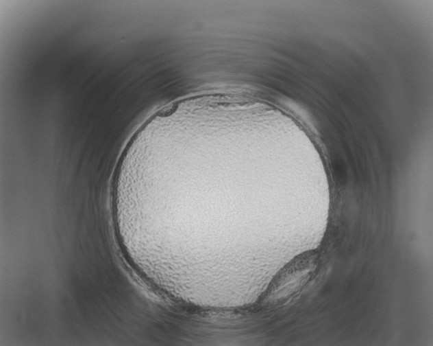 X0000082160907200702092214