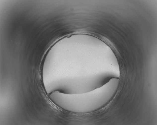 X0000082160908200702092214