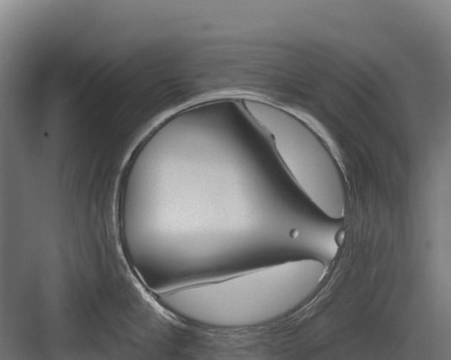 X0000082160910200702092214