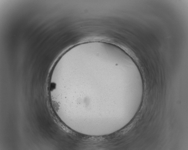 X0000082160912200702092214