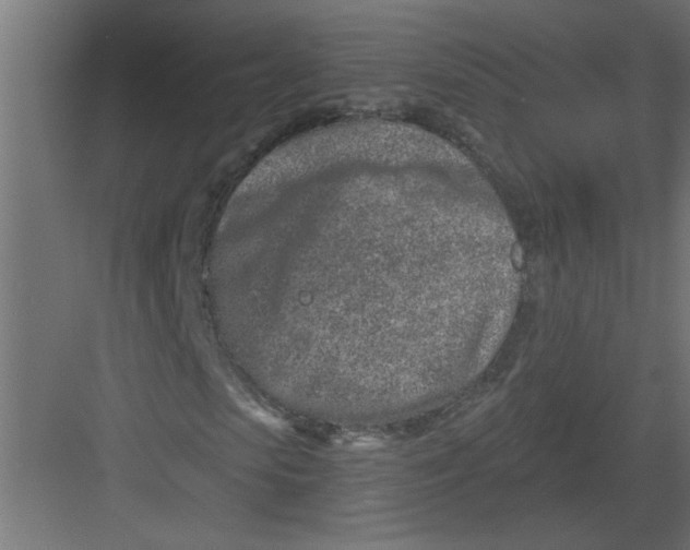 X0000082160913200702092213