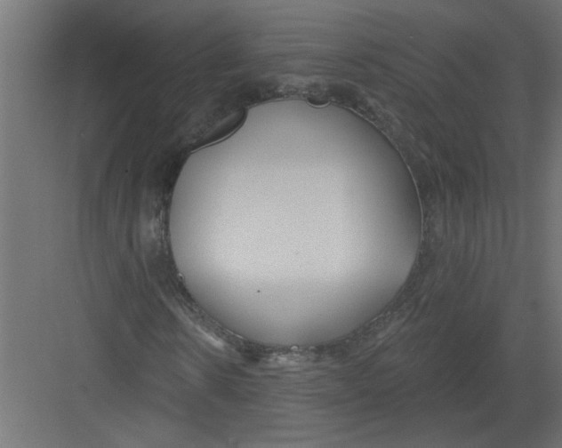 X0000082160914200702092213