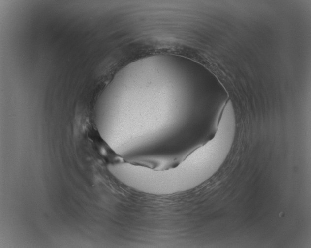 X0000082160916200702092213