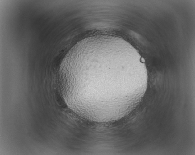 X0000082160917200702092214