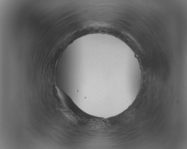 X0000082160919200702092214