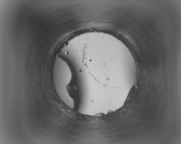 X0000082160920200702092214