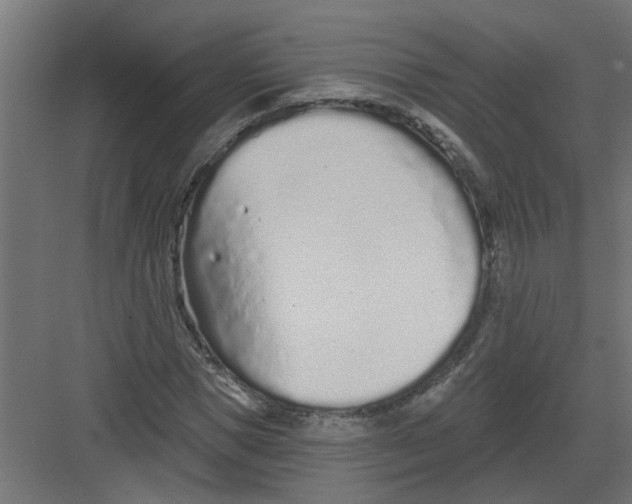 X0000082160921200702092214