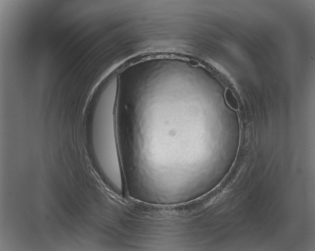 X0000082160925200702092214