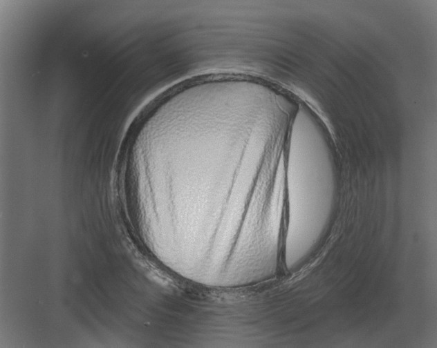 X0000082160928200702092214