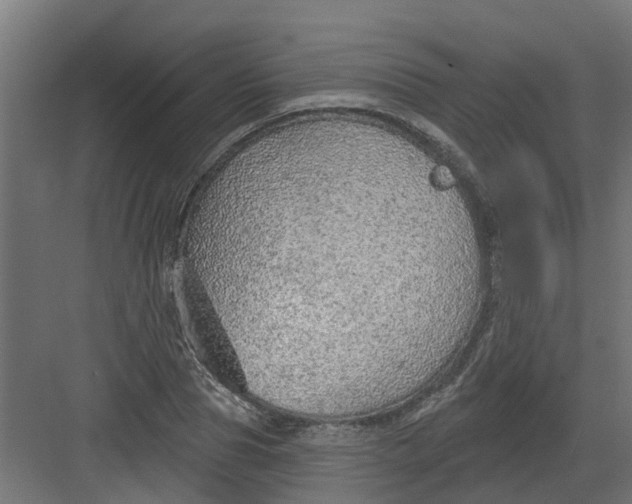 X0000082160929200702092214