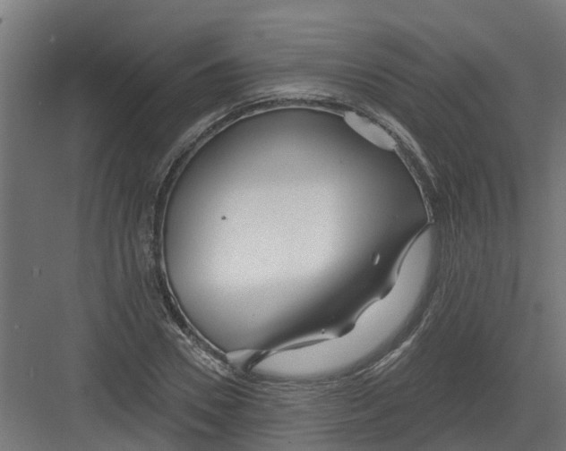 X0000082160930200702092214