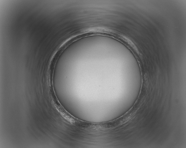 X0000082160931200702092214