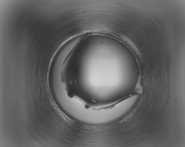 X0000082160932200702092214