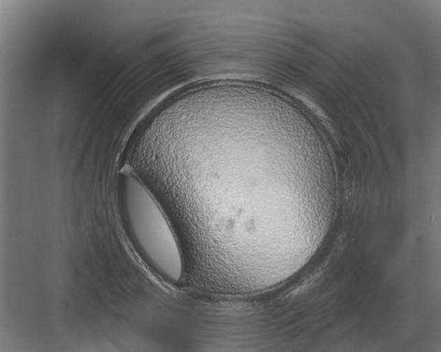 X0000082160933200702092214