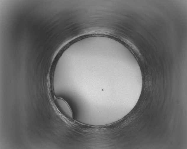 X0000082160936200702092214