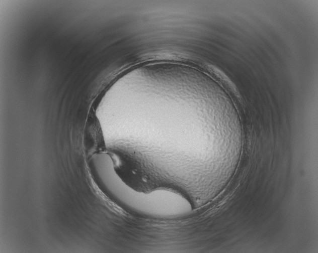 X0000082160938200702092214