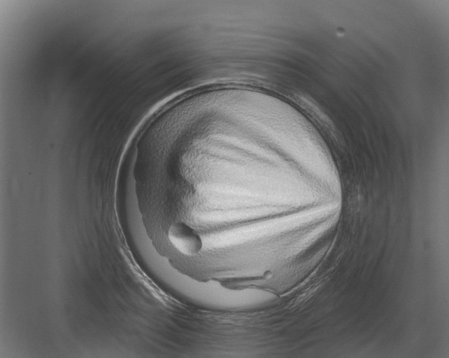 X0000082160940200702092214