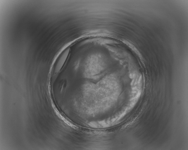 X0000082160941200702092214