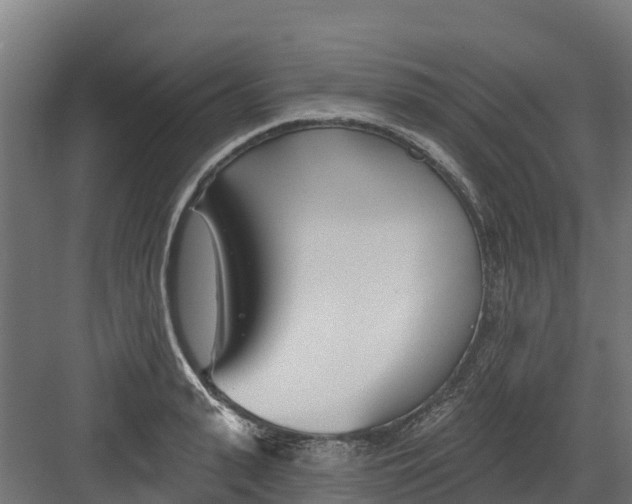 X0000082160943200702092214