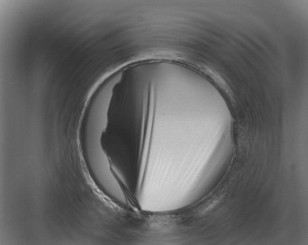 X0000082160944200702092214