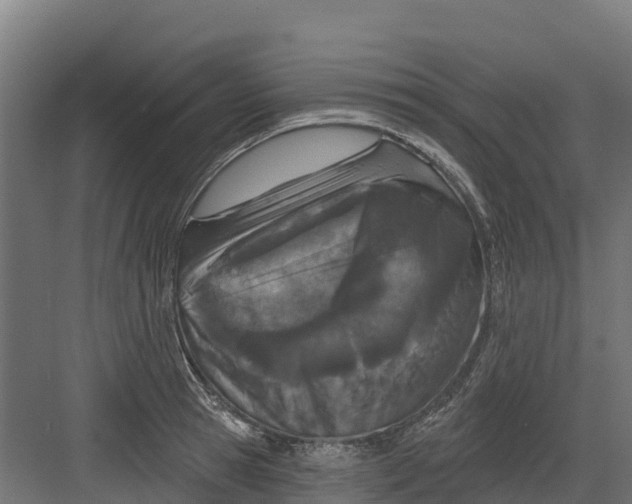 X0000082160945200702092214