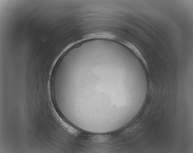 X0000082160947200702092214